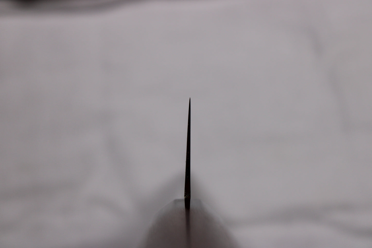 choil shot showing sakai kikumori knife profile thinning
