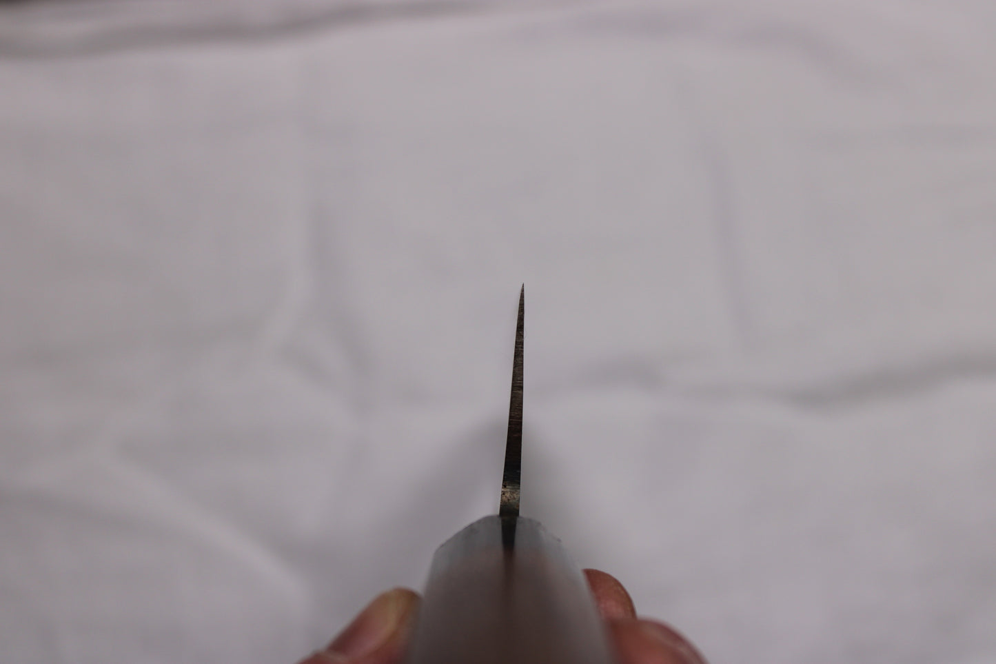 choil shot 240mm gyuto sakai kikumori