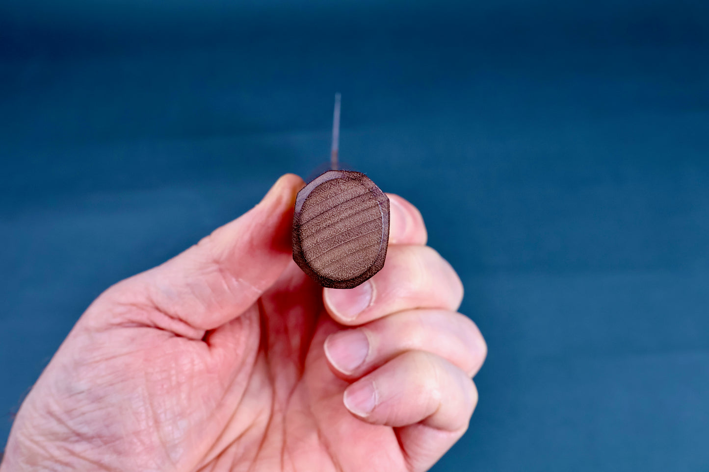 Sakai Kikumori Wasiki Stainless Gyuto 210mm