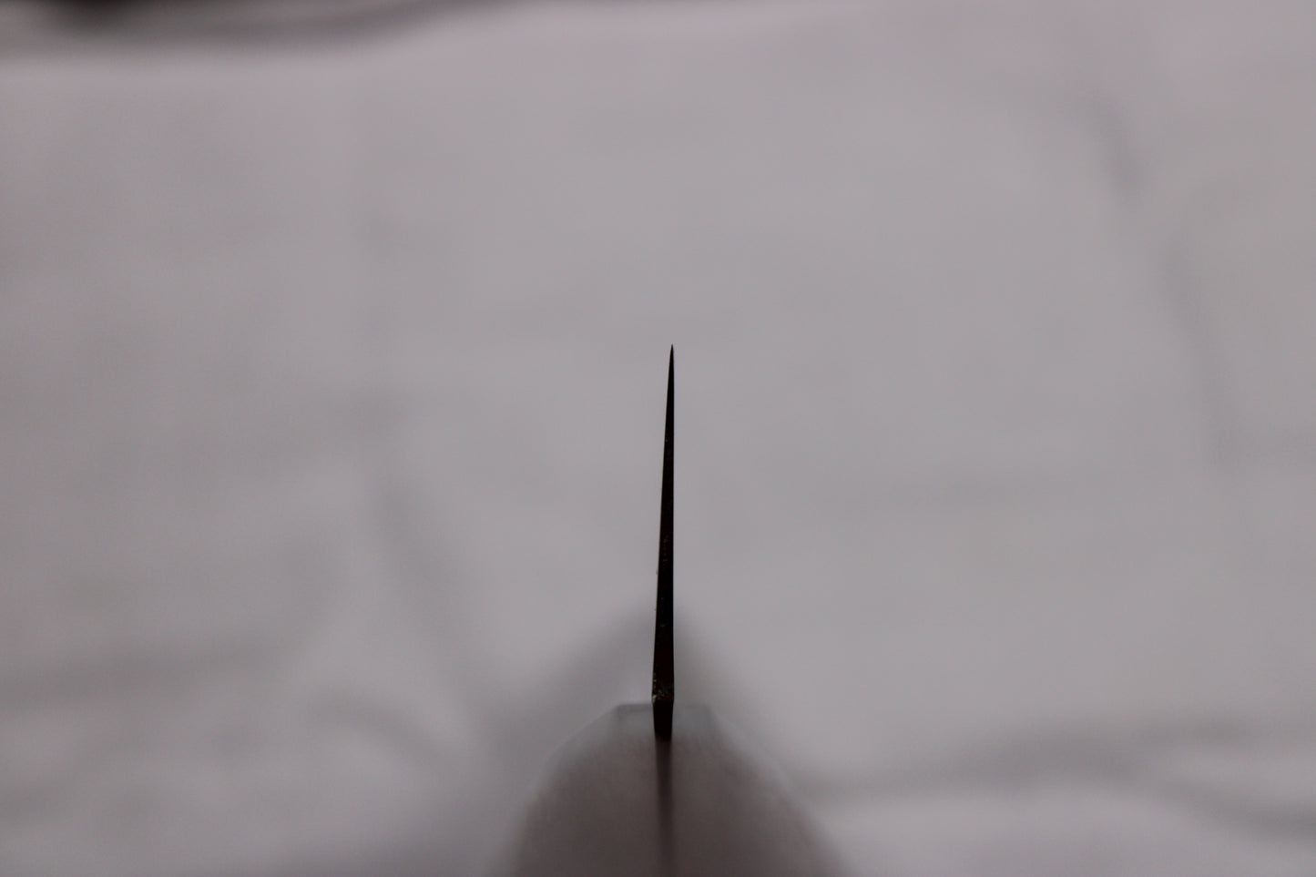 choil shot showing sakai kikumori knife profile thinning 