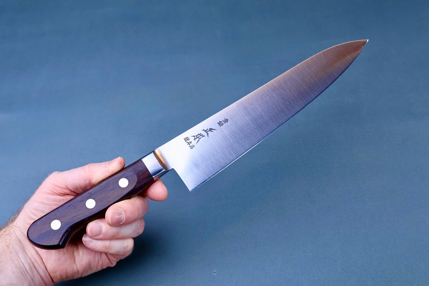 Hand holding Masamoto CT carbon steel gyuto 240mm showing blade length and rosewood handle grip