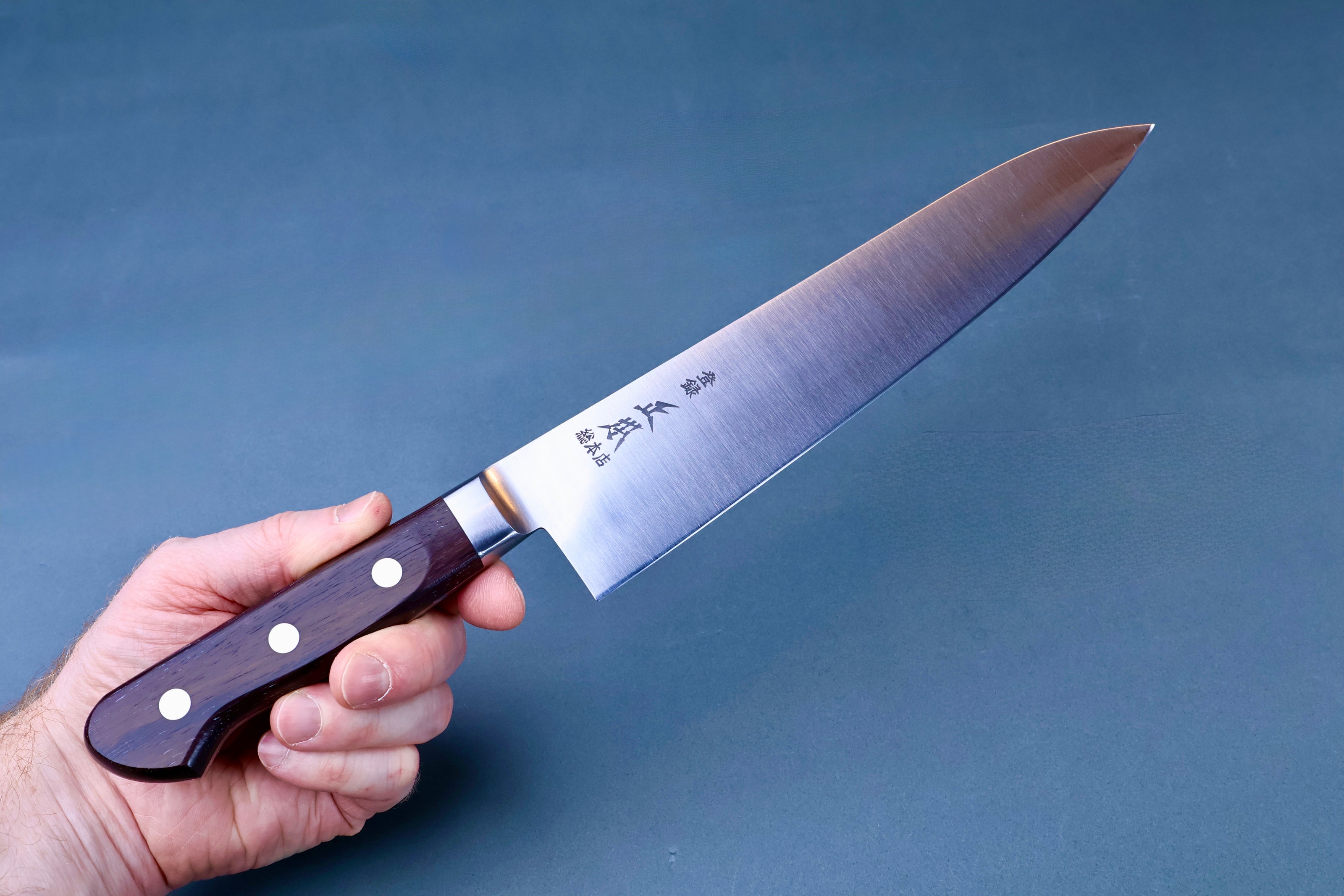 Hand holding Masamoto CT carbon steel gyuto 240mm showing blade length and rosewood handle grip