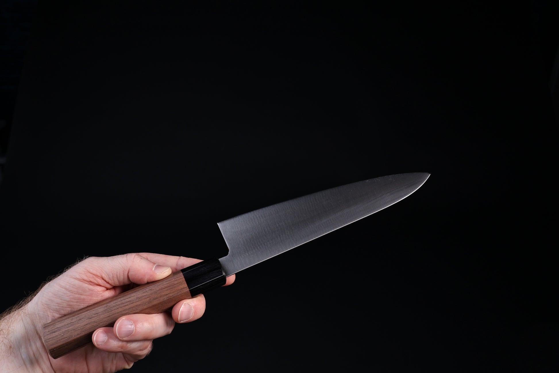Sakai Kikumori Wasiki gyuto 210mm — held in hand, full blade face showing kasumi finish and walnut handle