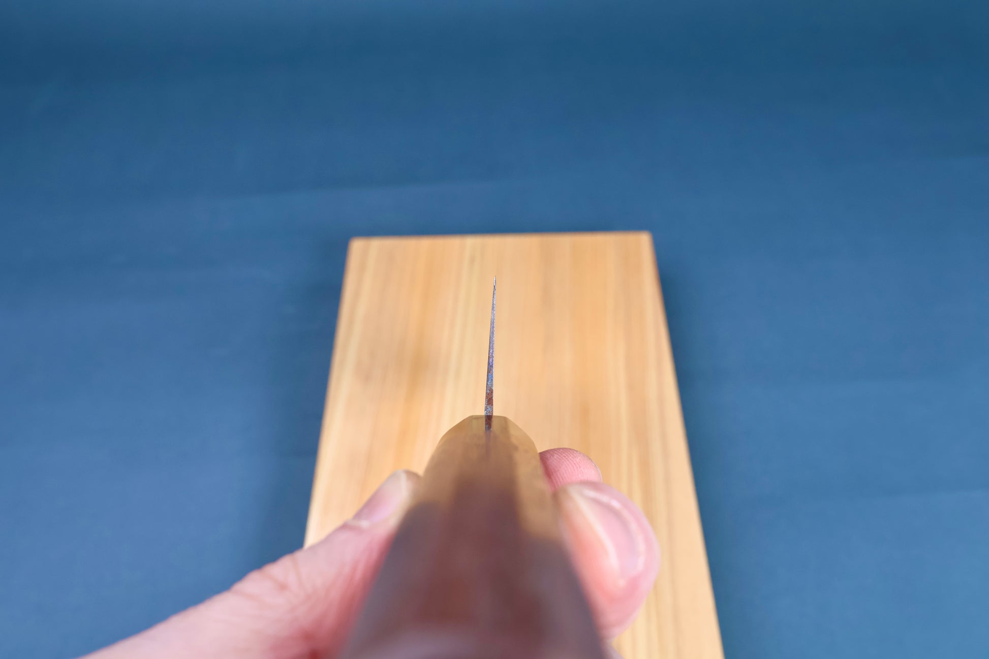 Sakai Kikumori Wasiki gyuto 210mm — tip-on view showing blade thinness, held over hinoki board