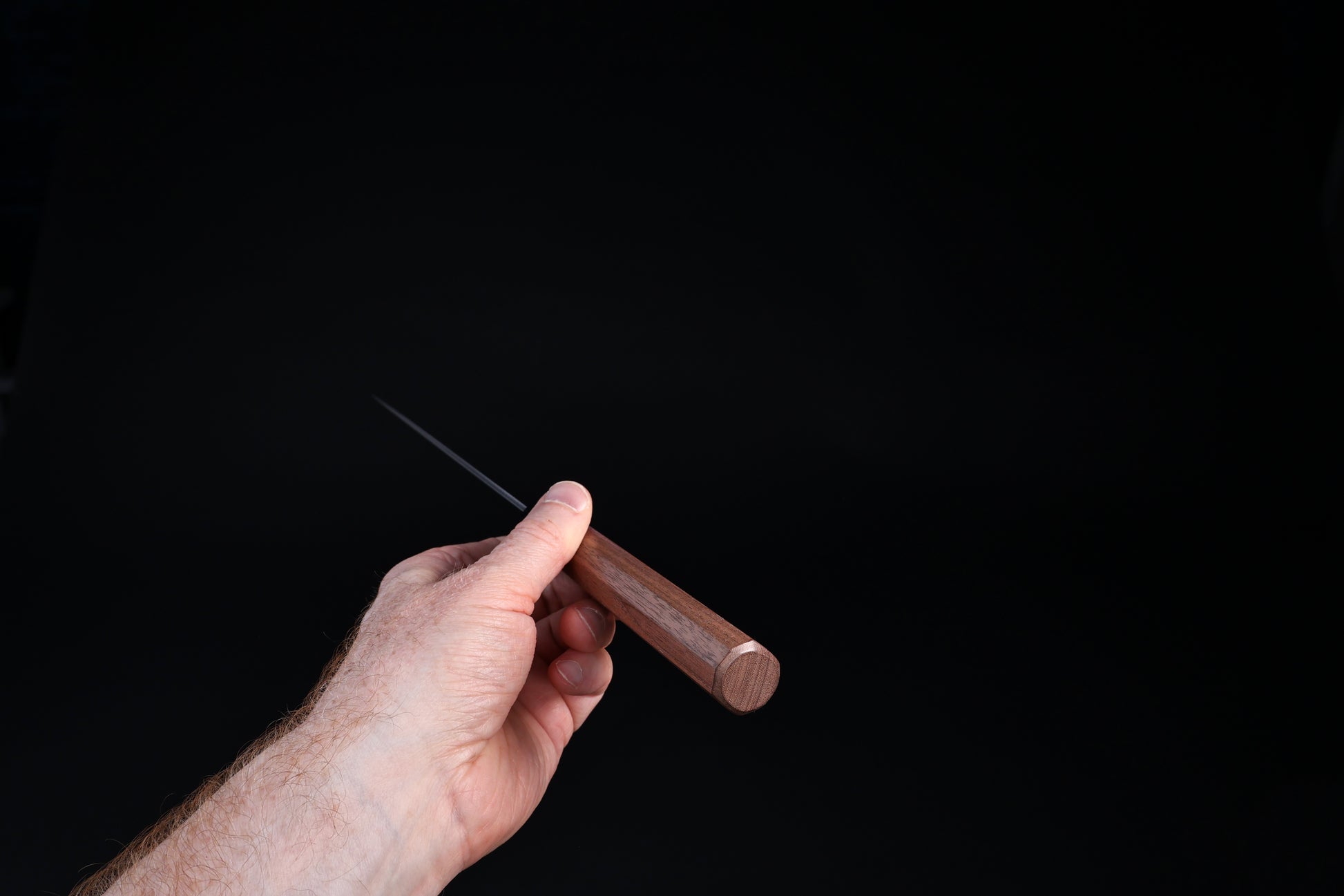 Sakai Kikumori Wasiki gyuto 210mm — held at spine showing blade thinness and walnut handle end grain