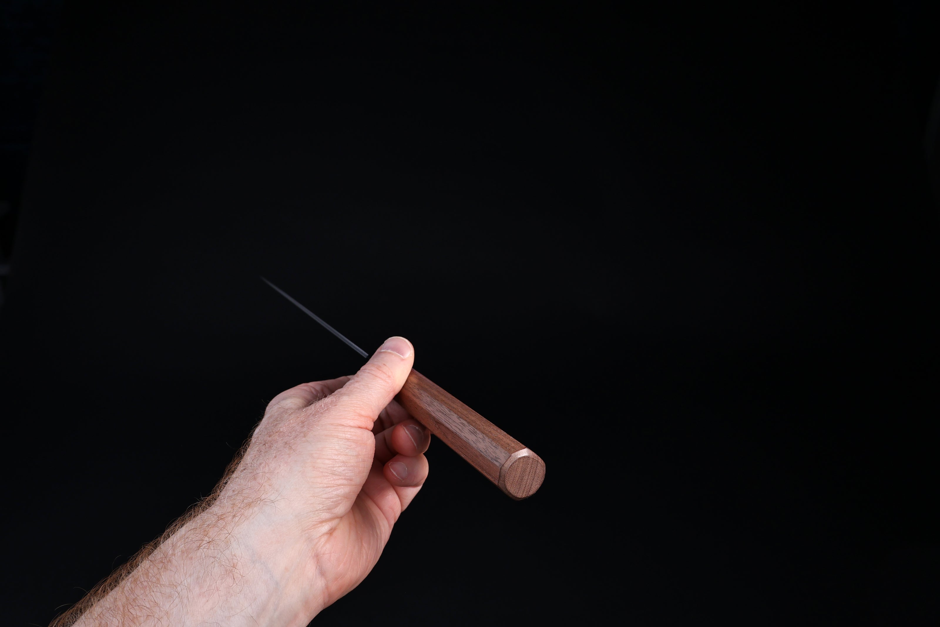 Sakai Kikumori Wasiki gyuto 210mm — held at spine showing blade thinness and walnut handle end grain
